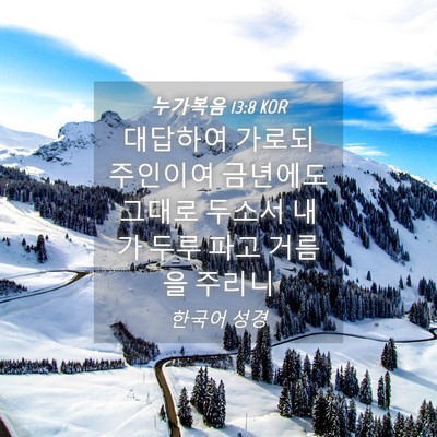 Picture 04 - 누가복음 13:8 KOR - 대답하여 가로되 주인이여 금년에도 - Bible Verse Picture