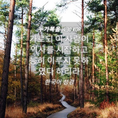 Picture 04 - 누가복음 14:30 KOR - 가로되 이 사람이 역사를 시작하고 - Bible Verse Picture