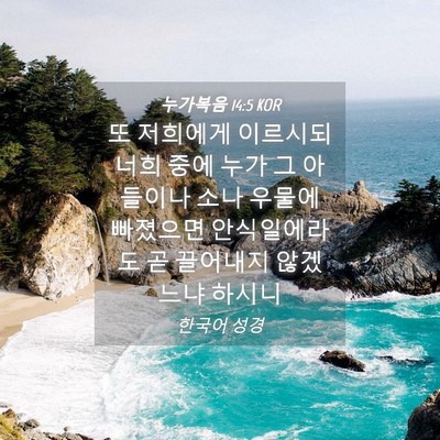 Picture 04 - 누가복음 14:5 KOR - 또 저희에게 이르시되 너희 중에 - Bible Verse Picture