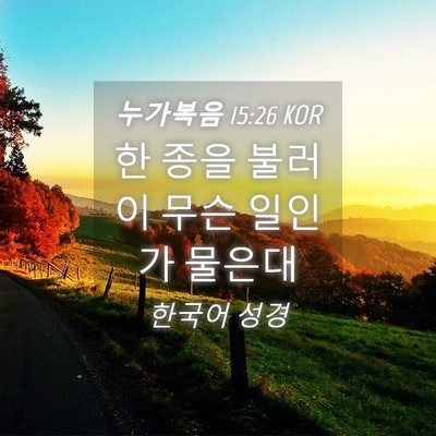 Picture 04 - 누가복음 15:26 KOR - 한 종을 불러 이 무슨 일인가 - Bible Verse Picture