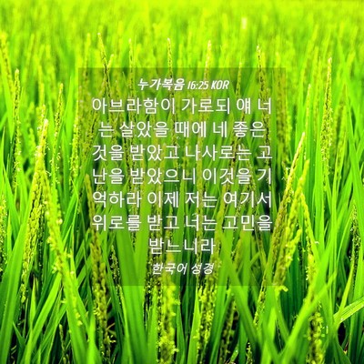 Picture 04 - 누가복음 16:25 KOR - 아브라함이 가로되 얘 너는 살았을 - Bible Verse Picture