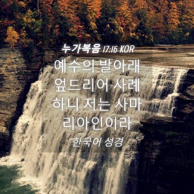 Picture 04 - 누가복음 17:16 KOR - 예수의 발아래 엎드리어 사례하니 - Bible Verse Picture