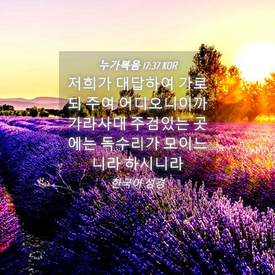 Picture 04 - 누가복음 17:37 KOR - 저희가 대답하여 가로되 주여 - Bible Verse Picture
