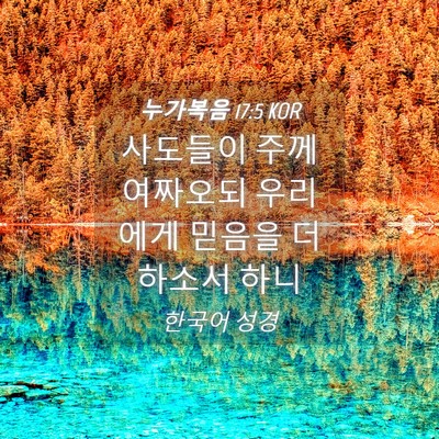 Picture 04 - 누가복음 17:5 KOR - 사도들이 주께 여짜오되 우리에게 - Bible Verse Picture