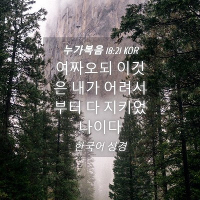 Picture 04 - 누가복음 18:21 KOR - 여짜오되 이것은 내가 어려서부터 다 - Bible Verse Picture
