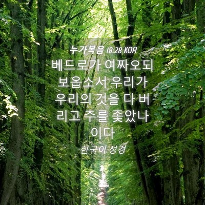 Picture 04 - 누가복음 18:28 KOR - 베드로가 여짜오되 보옵소서 우리가 - Bible Verse Picture