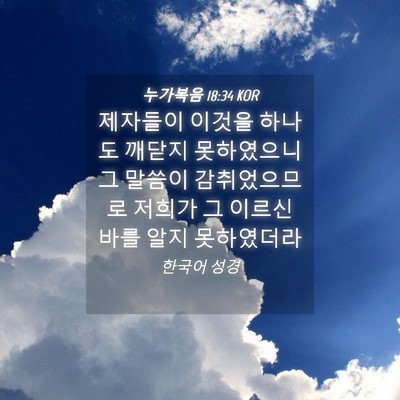 Picture 04 - 누가복음 18:34 KOR - 제자들이 이것을 하나도 깨닫지 - Bible Verse Picture