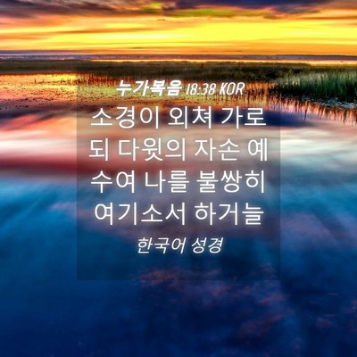 Picture 04 - 누가복음 18:38 KOR - 소경이 외쳐 가로되 다윗의 자손 - Bible Verse Picture