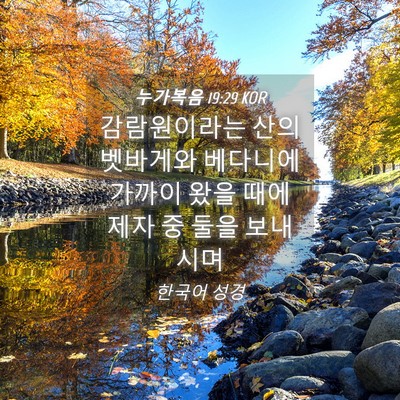 Picture 04 - 누가복음 19:29 KOR - 감람원이라는 산의 벳바게와 - Bible Verse Picture