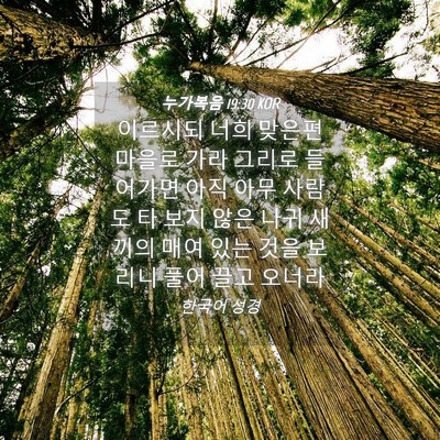 Picture 04 - 누가복음 19:30 KOR - 이르시되 너희 맞은편 마을로 가라 - Bible Verse Picture