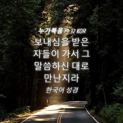 Picture 04 - 누가복음 19:32 KOR - 보내심을 받은 자들이 가서 그 - Bible Verse Picture