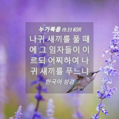 Picture 04 - 누가복음 19:33 KOR - 나귀 새끼를 풀 때에 그 임자들이 - Bible Verse Picture