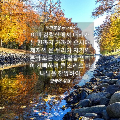 Picture 04 - 누가복음 19:37 KOR - 이미 감람산에서 내려가는 편까지 - Bible Verse Picture