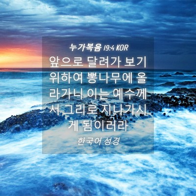 Picture 04 - 누가복음 19:4 KOR - 앞으로 달려가 보기 위하여 뽕나무에 - Bible Verse Picture