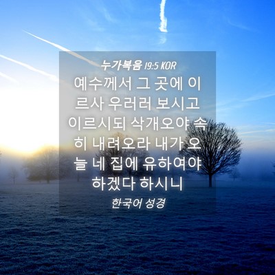 Picture 04 - 누가복음 19:5 KOR - 예수께서 그 곳에 이르사 우러러 - Bible Verse Picture