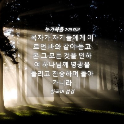 Picture 04 - 누가복음 2:20 KOR - 목자가 자기들에게 이르던 바와 같이 - Bible Verse Picture