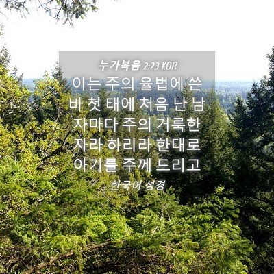 Picture 04 - 누가복음 2:23 KOR - 이는 주의 율법에 쓴바 첫 태에 처음 - Bible Verse Picture