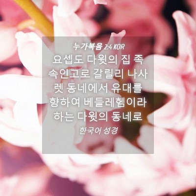 Picture 04 - 누가복음 2:4 KOR - 요셉도 다윗의 집 족속인고로 갈릴리 - Bible Verse Picture