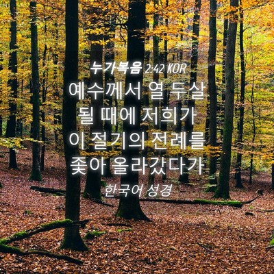 Picture 04 - 누가복음 2:42 KOR - 예수께서 열 두살 될 때에 저희가 이 - Bible Verse Picture