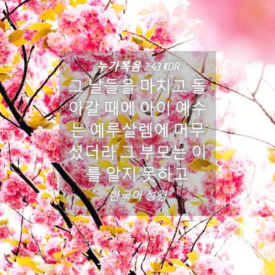 Picture 04 - 누가복음 2:43 KOR - 그 날들을 마치고 돌아갈 때에 아이 - Bible Verse Picture