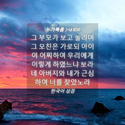 Picture 04 - 누가복음 2:48 KOR - 그 부모가 보고 놀라며 그 모친은 - Bible Verse Picture