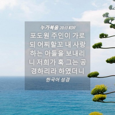 Picture 04 - 누가복음 20:13 KOR - 포도원 주인이 가로되 어찌할꼬 내 - Bible Verse Picture