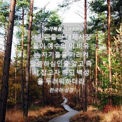 Picture 04 - 누가복음 20:19 KOR - 서기관들과 대제사장들이 예수의 이 - Bible Verse Picture