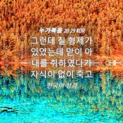 Picture 04 - 누가복음 20:29 KOR - 그런데 칠 형제가 있었는데 맏이 - Bible Verse Picture