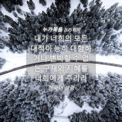 Picture 04 - 누가복음 21:15 KOR - 내가 너희의 모든 대적이 능히 - Bible Verse Picture