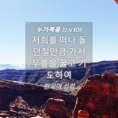 Picture 04 - 누가복음 22:41 KOR - 저희를 떠나 돌 던질만큼 가서 - Bible Verse Picture