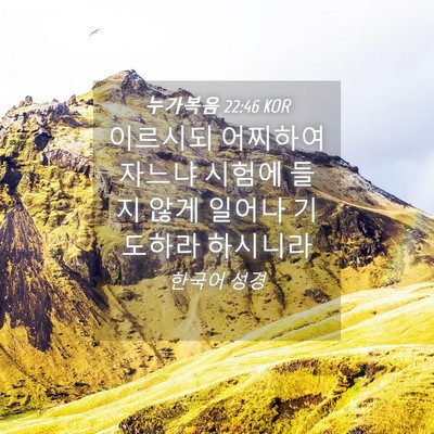 Picture 04 - 누가복음 22:46 KOR - 이르시되 어찌하여 자느냐 시험에 - Bible Verse Picture