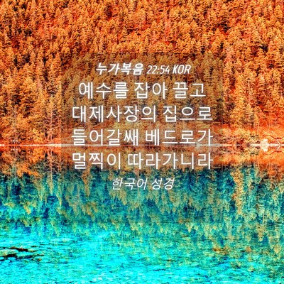 Picture 04 - 누가복음 22:54 KOR - 예수를 잡아 끌고 대제사장의 집으로 - Bible Verse Picture