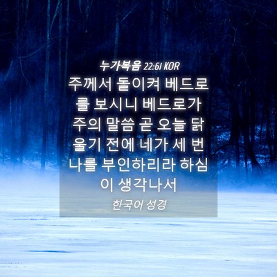 Picture 04 - 누가복음 22:61 KOR - 주께서 돌이켜 베드로를 보시니 - Bible Verse Picture