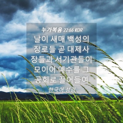 Picture 04 - 누가복음 22:66 KOR - 날이 새매 백성의 장로들 곧 - Bible Verse Picture