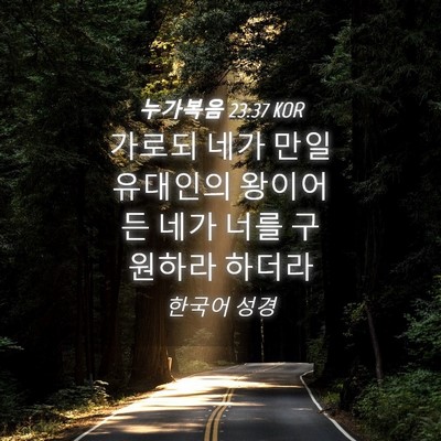 Picture 04 - 누가복음 23:37 KOR - 가로되 네가 만일 유대인의 왕이어든 - Bible Verse Picture