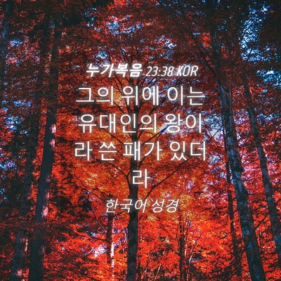 Picture 04 - 누가복음 23:38 KOR - 그의 위에 이는 유대인의 왕이라 쓴 - Bible Verse Picture