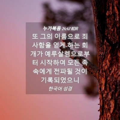 Picture 04 - 누가복음 24:47 KOR - 또 그의 이름으로 죄 사함을 얻게 - Bible Verse Picture