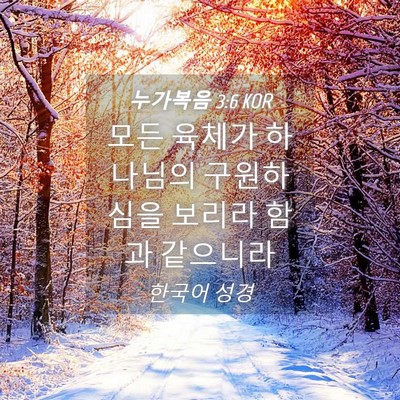 Picture 04 - 누가복음 3:6 KOR - 모든 육체가 하나님의 구원하심을 - Bible Verse Picture