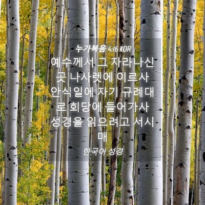 Picture 04 - 누가복음 4:16 KOR - 예수께서 그 자라나신 곳 나사렛에 - Bible Verse Picture
