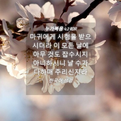 Picture 04 - 누가복음 4:2 KOR - 마귀에게 시험을 받으시더라 이 모든 - Bible Verse Picture