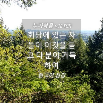 Picture 04 - 누가복음 4:28 KOR - 회당에 있는 자들이 이것을 듣고 다 - Bible Verse Picture