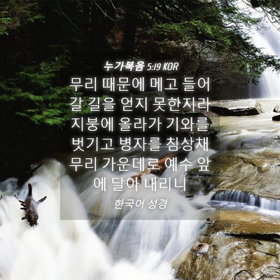 Picture 04 - 누가복음 5:19 KOR - 무리 때문에 메고 들어갈 길을 얻지 - Bible Verse Picture