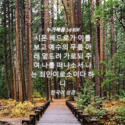 Picture 04 - 누가복음 5:8 KOR - 시몬 베드로가 이를 보고 예수의 - Bible Verse Picture