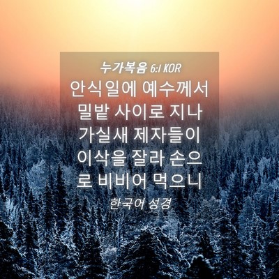 Picture 04 - 누가복음 6:1 KOR - 안식일에 예수께서 밀밭 사이로 - Bible Verse Picture