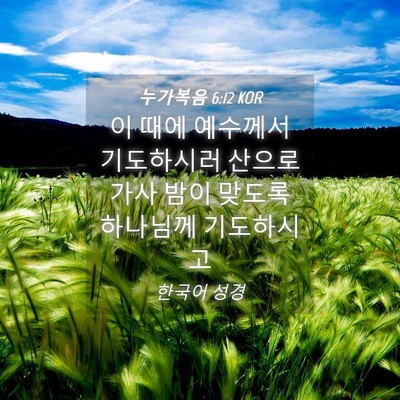 Picture 04 - 누가복음 6:12 KOR - 이 때에 예수께서 기도하시러 산으로 - Bible Verse Picture