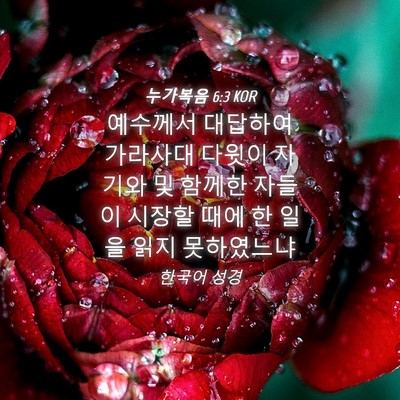Picture 04 - 누가복음 6:3 KOR - 예수께서 대답하여 가라사대 다윗이 - Bible Verse Picture