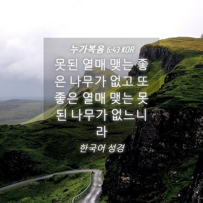 Picture 04 - 누가복음 6:43 KOR - 못된 열매 맺는 좋은 나무가 없고 또 - Bible Verse Picture