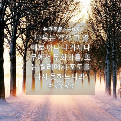Picture 04 - 누가복음 6:44 KOR - 