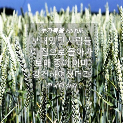 Picture 04 - 누가복음 7:10 KOR - 보내었던 사람들이 집으로 돌아가 - Bible Verse Picture