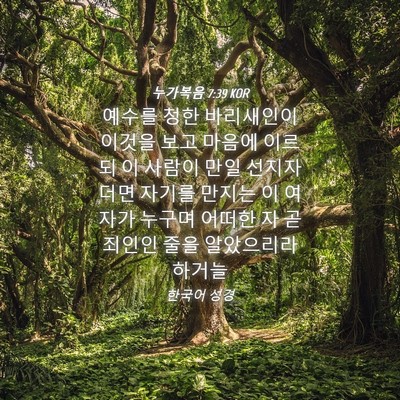 Picture 04 - 누가복음 7:39 KOR - 예수를 청한 바리새인이 이것을 보고 - Bible Verse Picture
